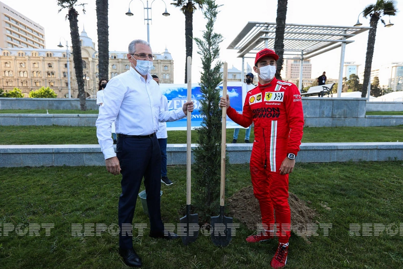 Şarl Lekler və Maks Ferstappen Bakıda ağac əkdi