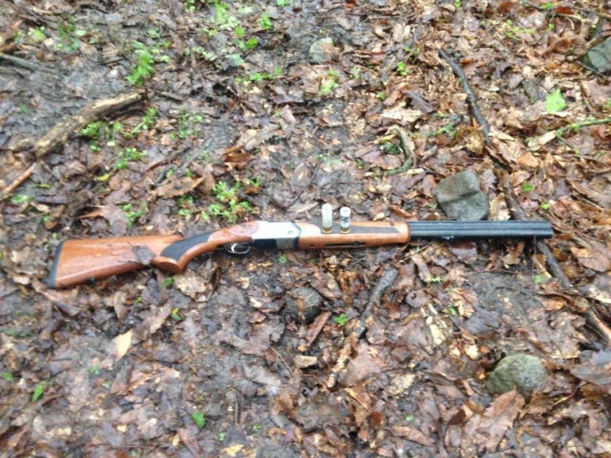 Shooting on Azerbaijan-Iran border: 1 dead