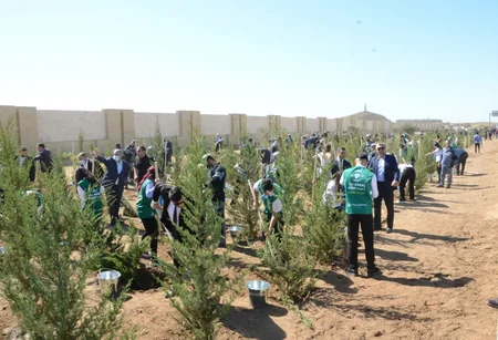 Bakıda Anım Gününə həsr edilən ağacəkmə aksiyası keçirilib