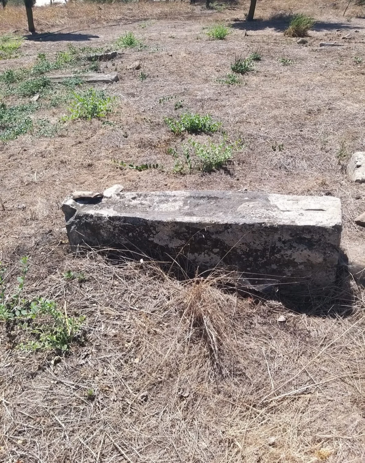 Cəlilabadda orta əsrlərə aid qəbiristanlıq aşkarlanıb
