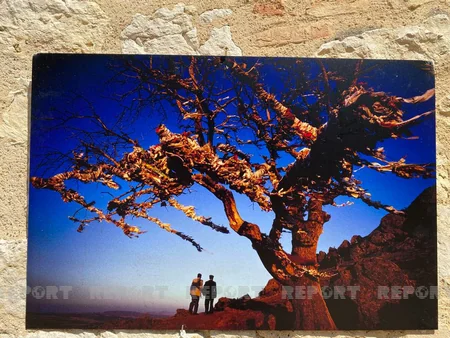 Truths of Karabakh war exhibited in France