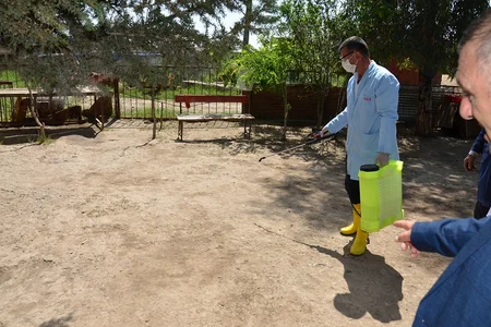Saatlıda profilaktiki peyvəndlənmə, diaqnostiki müayinə, dezinfeksiya, dezinseksiya və müalicə tədbirləri davam etdirilir