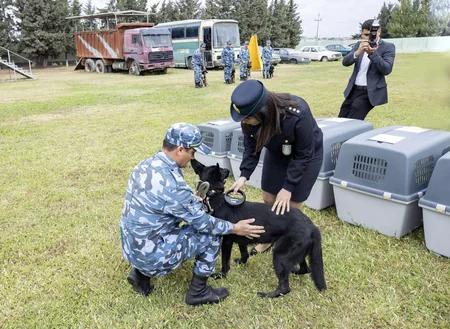 Gömrük Komitəsi ANAMA-ya 5 it ianə edib