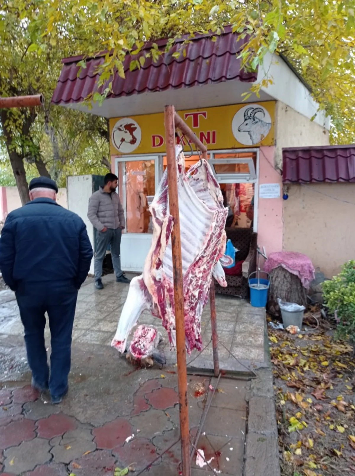 Ağcabədidə 42 qanunsuz heyvan kəsimi məntəqəsi aşkarlanıb