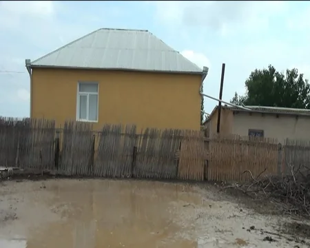Goranboyda sel fəsadlar törədib, xırdabuynuzlu heyvanlar tələf olub