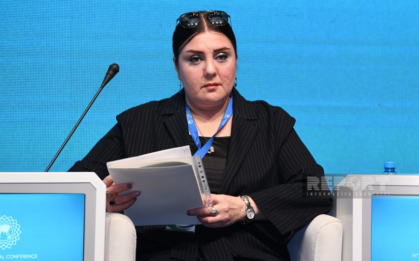 AMEA əməkdaşı: “Avropa plüralizm böhranı yaşayır”