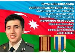Vətən müharibəsi şəhidinin xatirəsinə beynəlxalq yarışın qalibləri bilindi