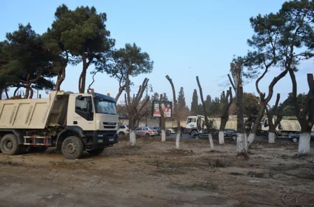 BŞİH: Atatürk parkında əsaslı təmir-yenidənqurma işləri aparılır