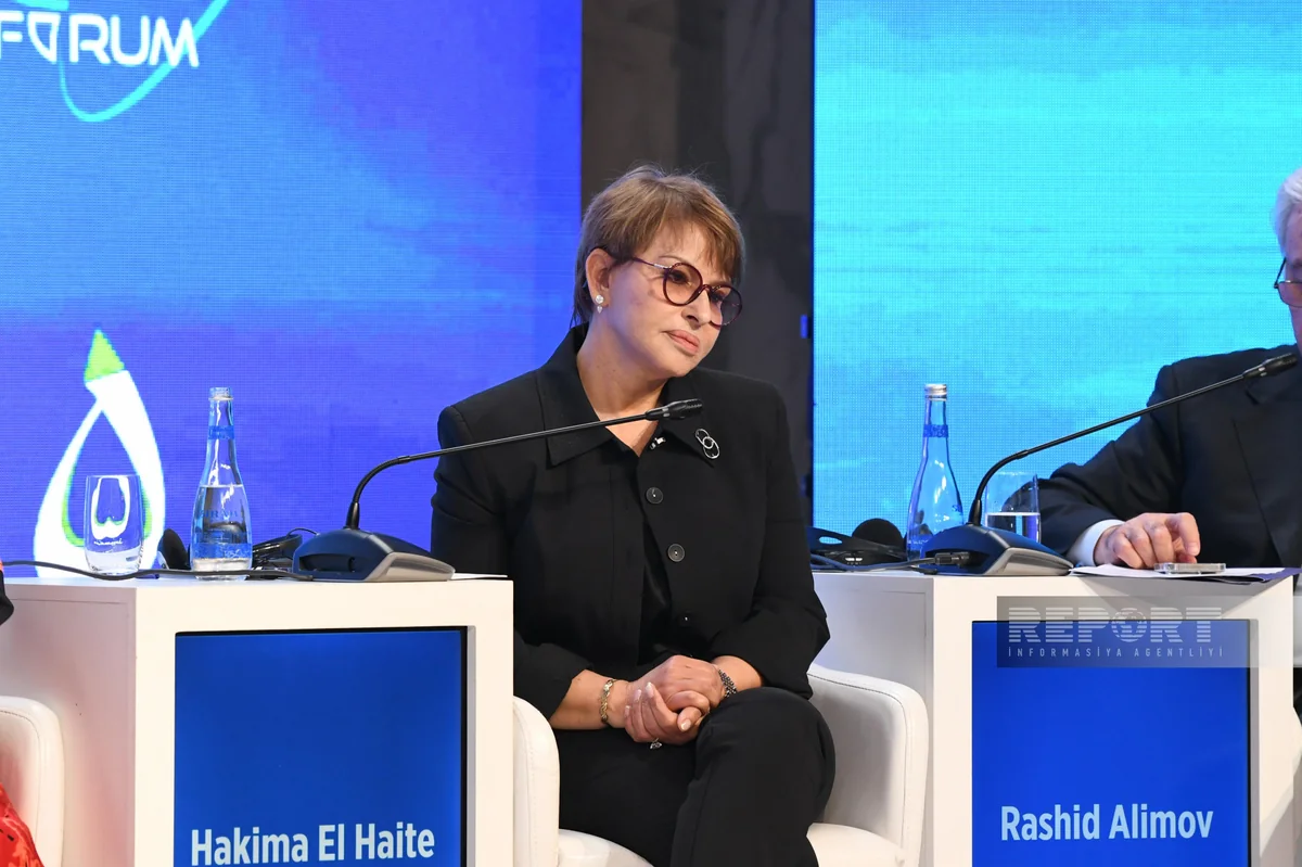 COP çərçivəsində həssas ölkələr üçün ayrıca bir çərçivənin formalaşdırılması təklif edilir