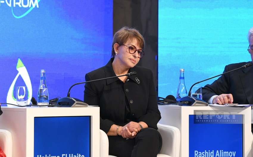 Separate structure for vulnerable countries proposed within COP framework
