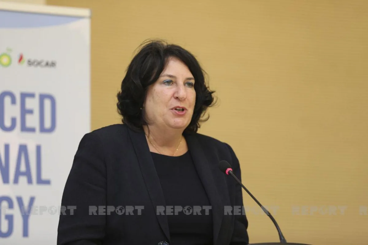 Brenda Shaffer recommends USAID Administrator take a broader look at situation in Karabakh