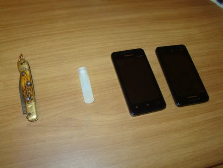 ​IDEA adı Qırmızı Kitaba düşən bəbirin öldürülməsi ilə bağlı bəyanat yayıb