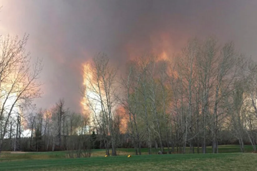 Площадь пожаров в канадской Альберте достигла 355 тысяч гектаров