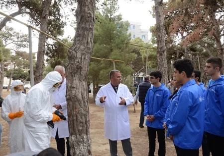 Mütəxəssislər Bakıda araşdırma aparıb: Ağacların suvarılmaması səbəbindən quruması ilə bağlı deyilənlər əsassızdır