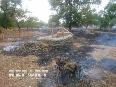 Qaxda kənd qəbiristanlığında yanğın baş verib - FOTO