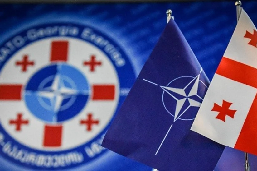 В Грузии прокомментировали слова Путина о членстве страны в НАТО