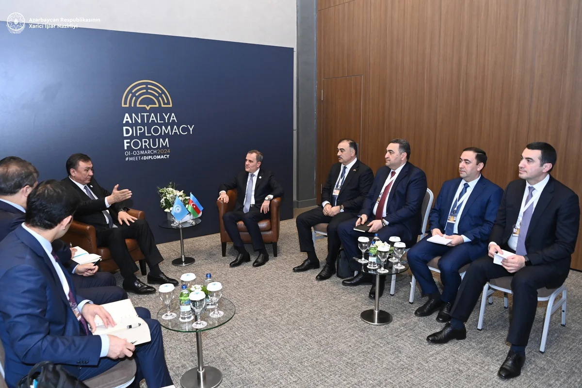 COP29 çərçivəsində Azərbaycanla TDT arasında əməkdaşlıq nəzərdən keçirilib - YENİLƏNİB