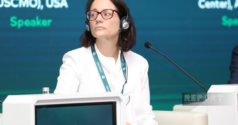 Глава ICRD: Молодежь должна быть привлечена к борьбе с исламофобией