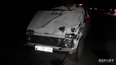 В Кюрдемире автомобиль сбил корову - ФОТО