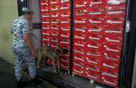 Azərbaycan gömrükçüləri 30 kiloqramdan artıq narkotik vasitə aşkar ediblər