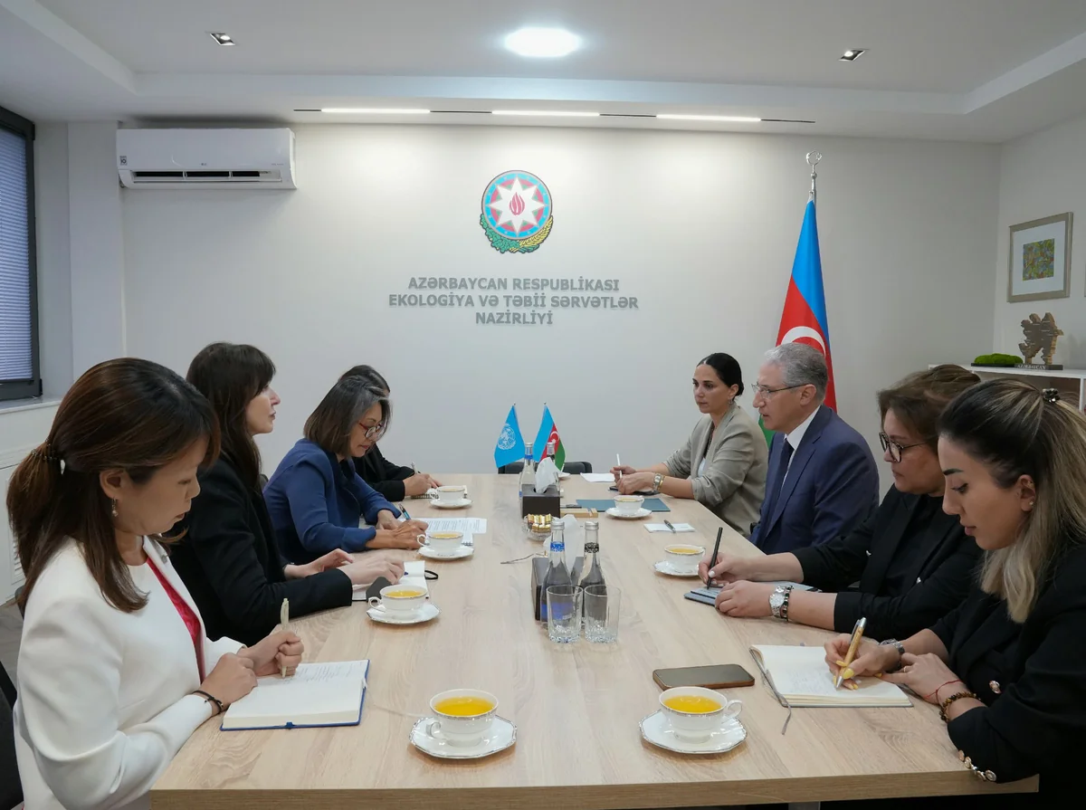 Mukhtar Babayev discusses COP29 preparations with UN envoy