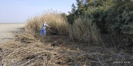 Biləsuvarda partlamamış hərbi sursatlar aşkarlanıb
