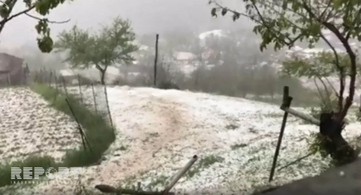 Dolu İsmayıllıda təsərrüfatlara ziyan vurub - FOTO