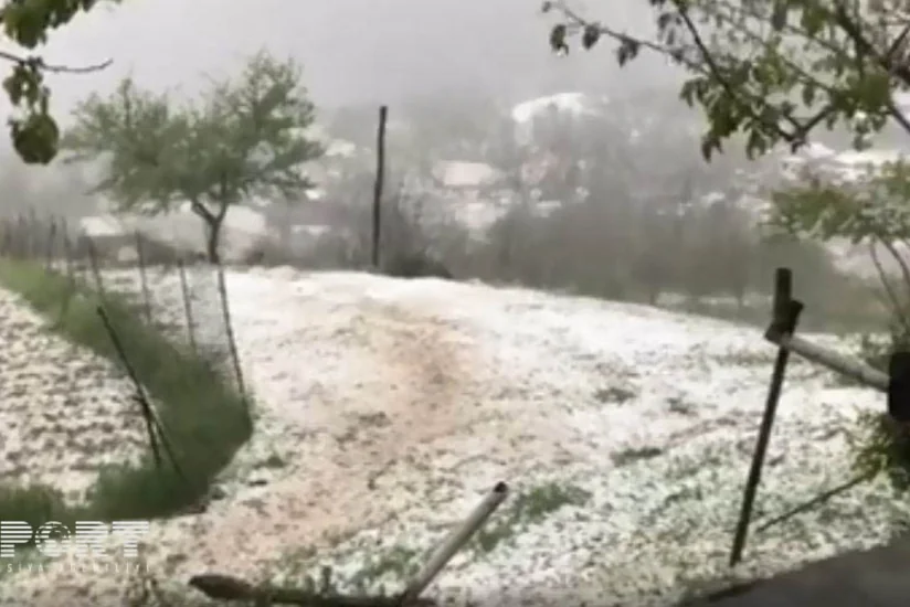 Dolu İsmayıllıda təsərrüfatlara ziyan vurub - FOTO