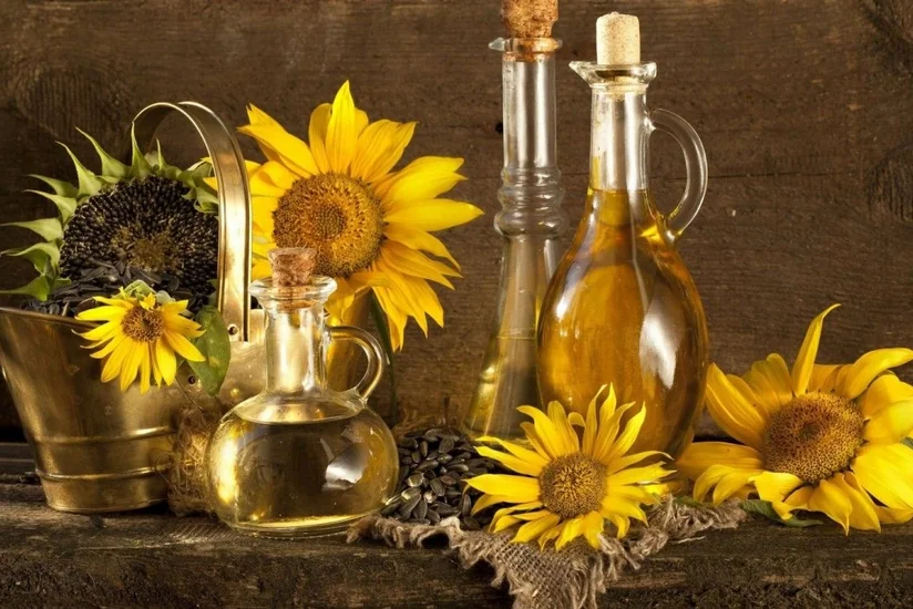 Rusiya günəbaxan yağı ixracına gömrük rüsumu tətbiq edəcək