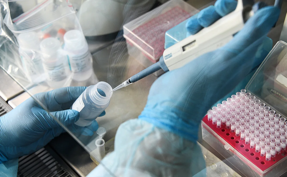 COVID-19: Azerbaijan confirms 528 new cases