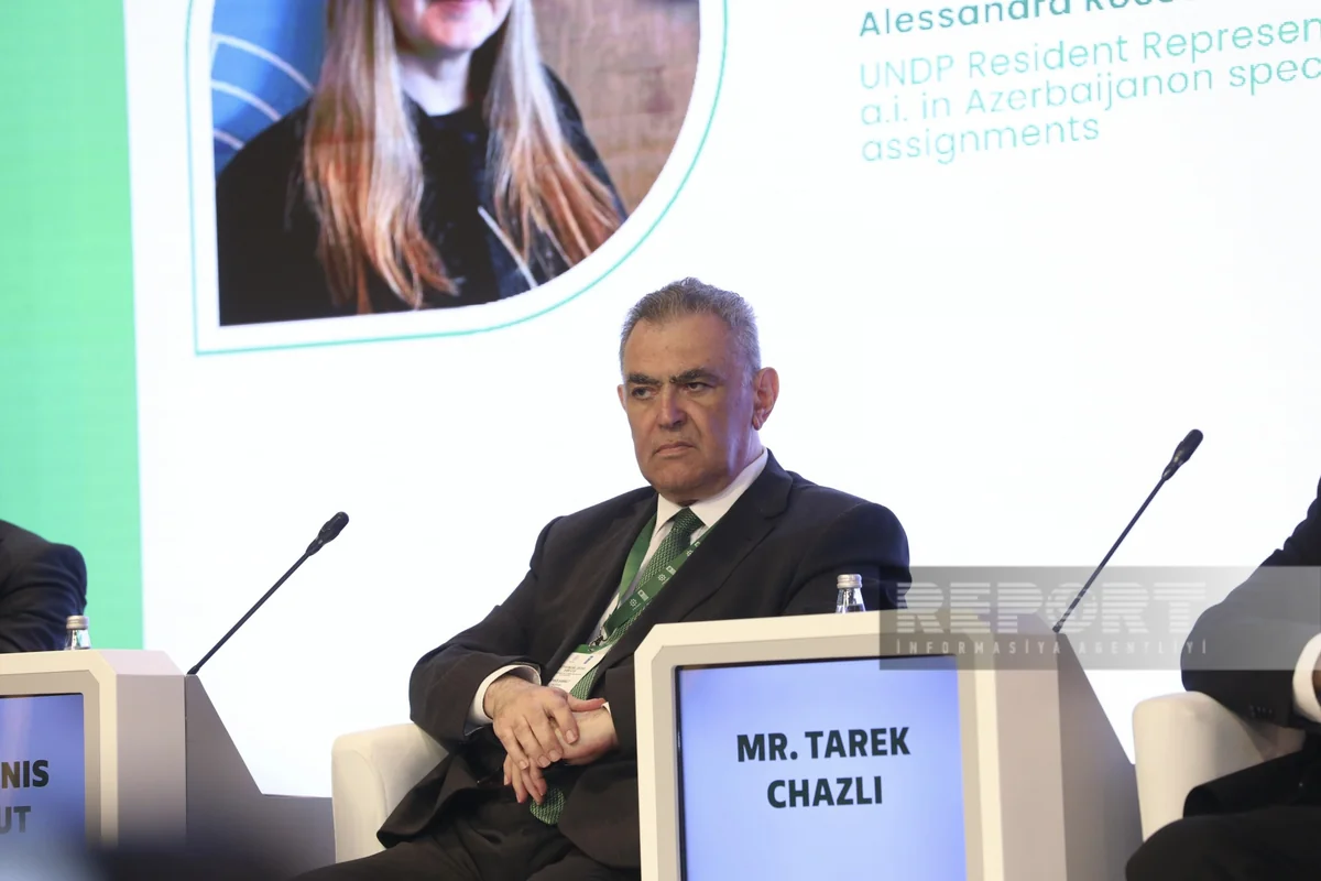 Dennis Sammut: COP29 can become a peace conference