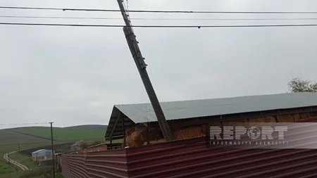 Cəlilabadın Moranlı kəndində işıq dirəkləri çürüyüb, elektrik naqilləri təhlükə mənbəyinə çevrilib - YENİLƏNİB