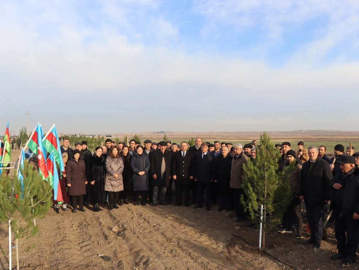 Samuxda “Heydər Əliyev ili” çərçivəsində ağacəkmə aksiyası keçirilib