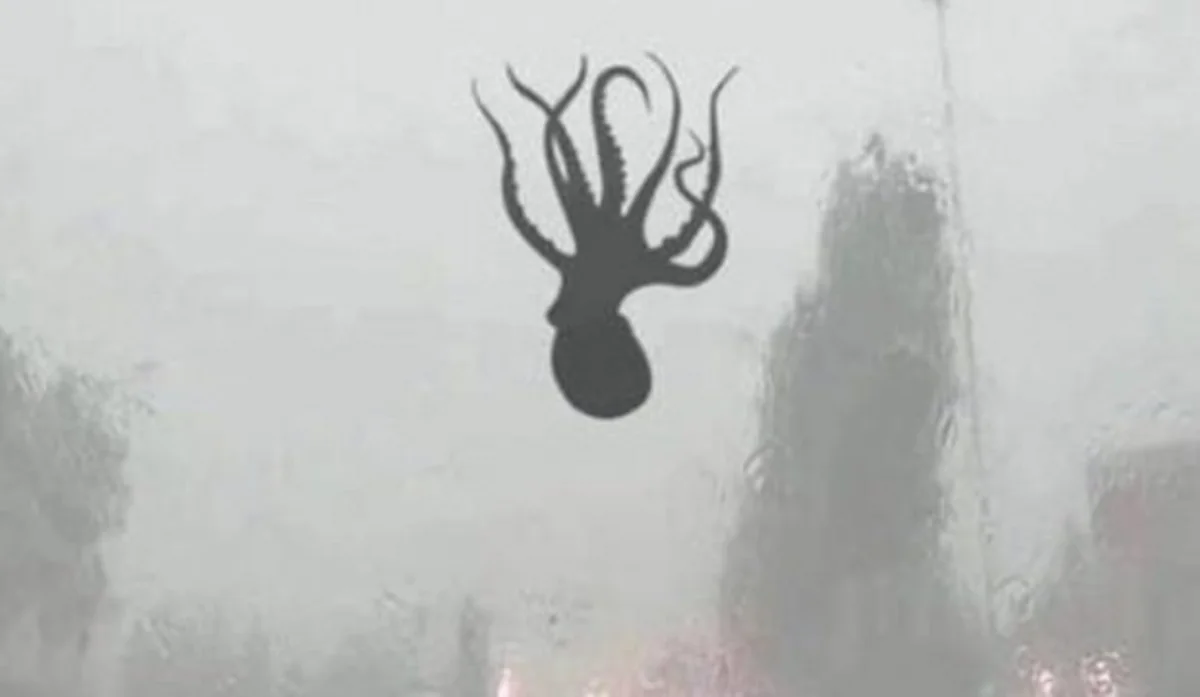 Sea creatures fall from sky during storm in China