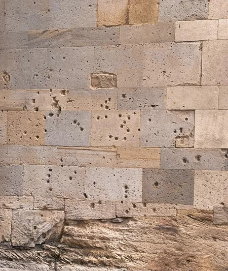 Bakıda Azərbaycanlıların Soyqırımı Gününə həsr olunmuş tədbir keçirilib