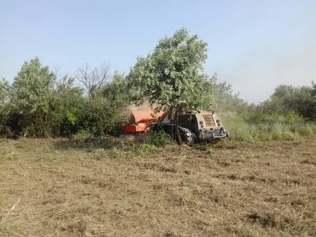 Cocuq Mərcanlıda piyada əleyhinə mina aşkar edilib