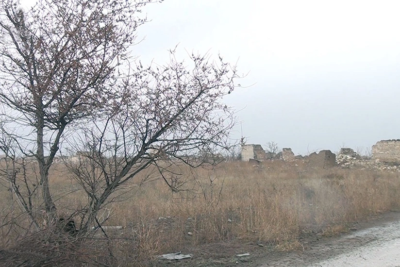 MN Ağdamın İlxıçılar kəndindən videogörüntülər yayıb