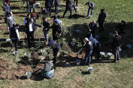 Bakıda növbəti ağacəkmə aksiyası keçirilib