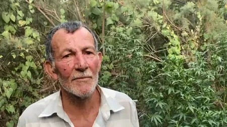 Kür çayının sahilində narkotik yetişdirən üç nəfər saxlanılıb