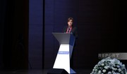 Бриджит Штробель-Шоу: Главная цель саммита в Баку — усиление сотрудничества в борьбе с коррупцией