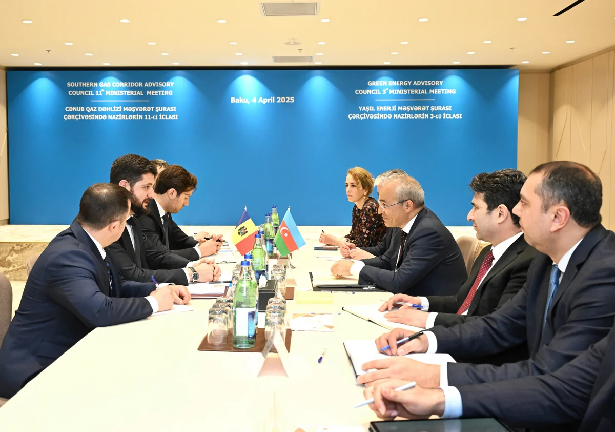 Azerbaijan and Moldova mull cooperation on renewable energy