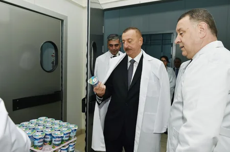 Prezident Abşeron rayonunda “Zəhmət-Ruzi” MMC-nin fəaliyyəti ilə tanış olub