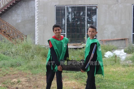 Biləsuvarda 1001 palıd adlı layihə icra edilib