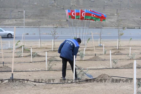 Azərbaycan Türkiyənin aksiyasına qoşulub