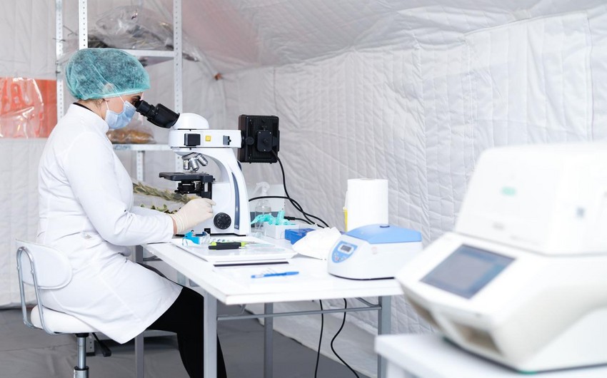 Azərbaycanda ilk dəfə Səyyar Fitosanitar Laboratoriya fəaliyyətə başlayıb