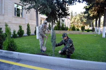​Silahlı Qüvvələrdə ağacəkmə aksiyasına start verilib