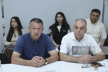 Bəzi ərazilərdə yaşıllıqların və quruyan tinglərin götürülməsi müzakirə olunub