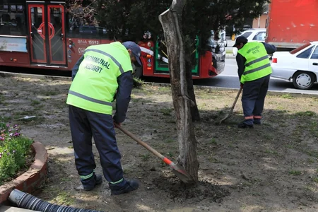 Paytaxtdakı monitorinqlərdə aşkarlanan nöqsanlar aradan qaldırılır