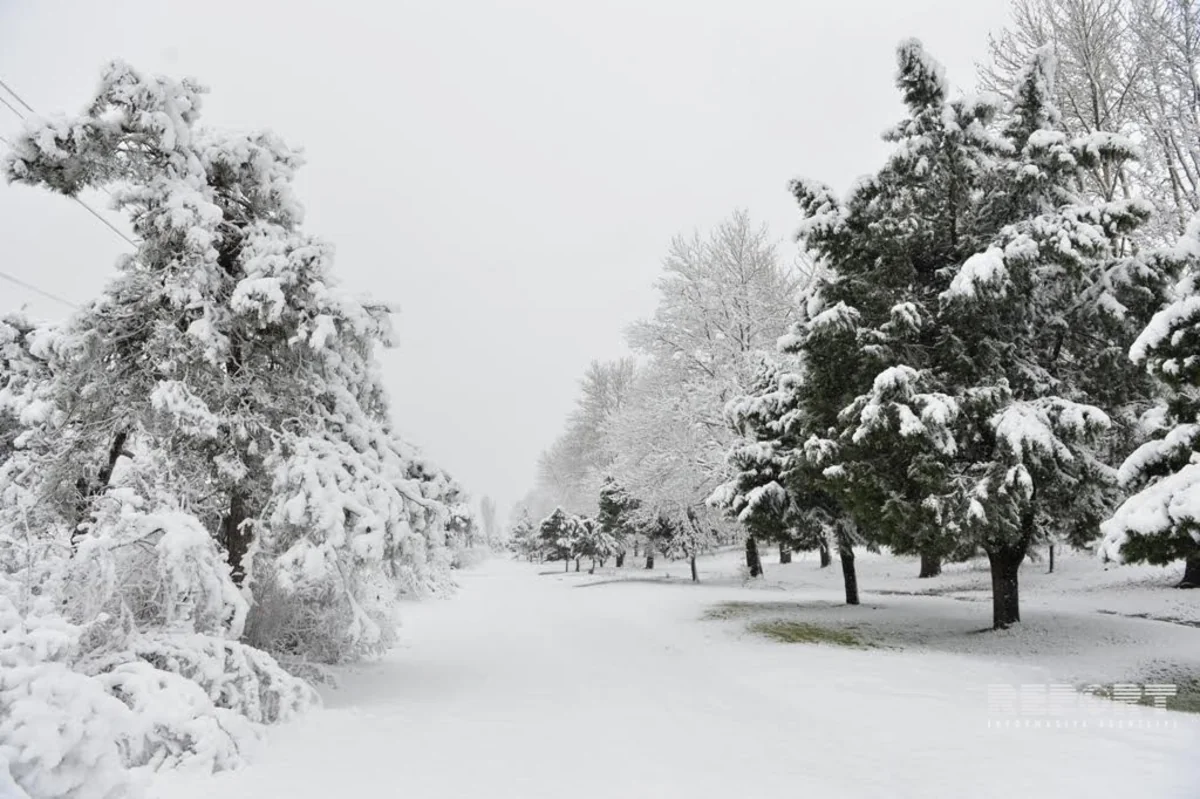 Snow height reaches 32 cm in Agdere, 8 cm in Shahdag, 5 cm in Giriz and 4 cm in Khinaliq  - ACTUAL WEATHER