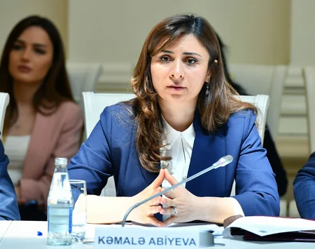 Ali Məhkəmədə Dövlət Xidmətinin nümayəndələri ilə görüş keçirilib